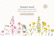 Wildflower Watercolor Collection, a Decorative Illustration by Anna Druzhkova (Thumbnail 1 of 23)