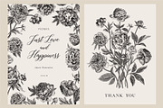 Peonies. Vintage illustrations, an Illustration by olga.korneeva (Thumbnail 6 of 9)