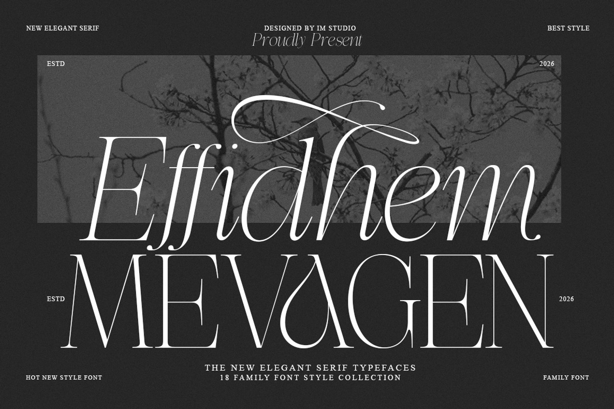 Effidhem Mevagen | 18 Font Files, a Serif Font by IM Studio (Photo 1 of 14)