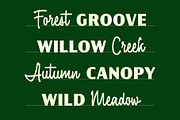 Fairforest - Font Duo, a Handwritten Font by Adam Fathony (Thumbnail 6 of 17)