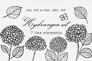 Hydrangea set SVG, an Object Graphic by mArtstore (Thumbnail 1 of 4)