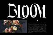Massive Resource - Elegant Font, a Serif Font by 177Studio (Thumbnail 3 of 8)