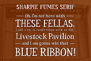 Sharpie Fumes Font Family, a Sans Serif Font by Glen Gauthier (Thumbnail 7 of 8)