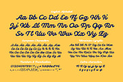 Tasha script font, a Script Font by Gleb Guralnyk (Thumbnail 7 of 7)