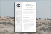 Creative Resume Template | CV Design, a Resume Template by introDuice - CV / Resumes (Thumbnail 1 of 6)