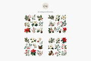 Watercolor Christmas Botanicals, a Decorative Illustration by ThaismotaCreativeCo (Thumbnail 6 of 11)