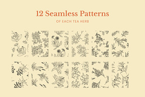 Tea Herb Illustrations Patterns