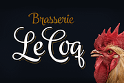 Jazz Script 12 fonts + extras -40%, a Script Font by Fenotype (Thumbnail 9 of 19)