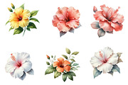 Watercolor Hibiscus Clipart, an Illustration by Designworld (Thumbnail 3 of 5)