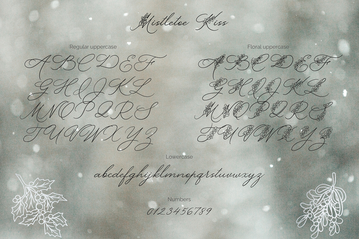 Mistletoe Kiss. Christmas font, a Handwritten Font by AnMark (Photo 2 of 9)
