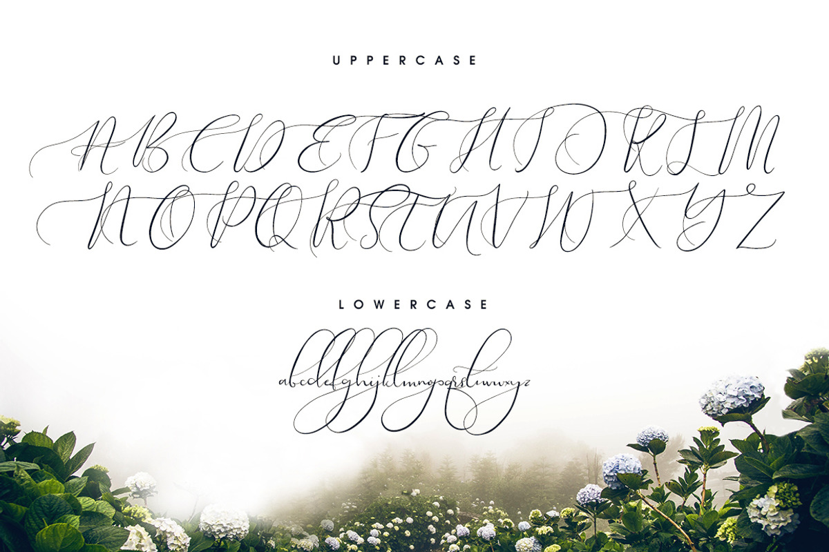 Theodoria Script Font, a Script Font by Creativeqube Design (Photo 14 of 16)