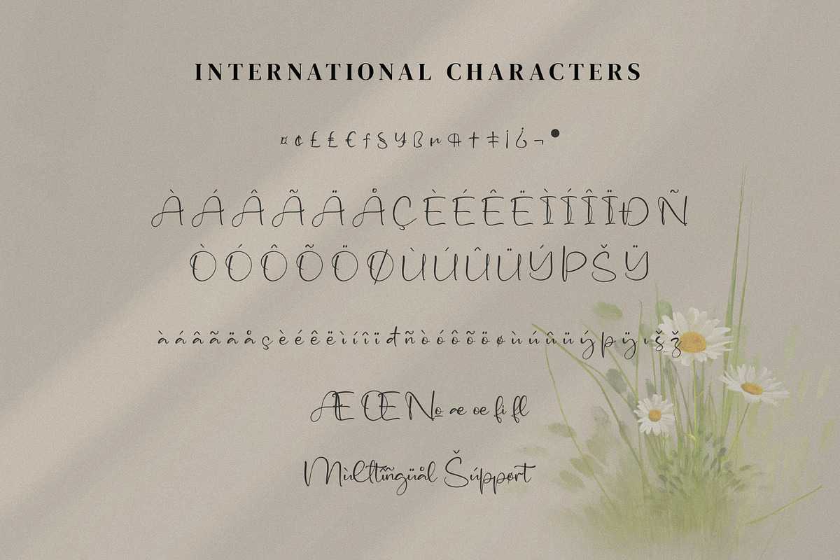Asmeralka, a Script Font by Integritype Studio (Photo 9 of 14)