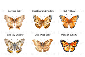 Watercolor Butterfly Species Clipart