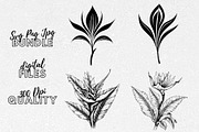 Bird Of Paradise Flower SVG Clipart, an Illustration by YouniqueArtwork (Thumbnail 1 of 5)