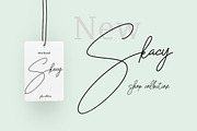 San Francisco, a Script Font by Teweka (Thumbnail 4 of 6)