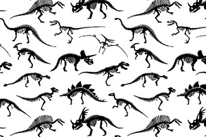 Dinosaurs Skeletons Patterns And Set