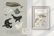 AQUATALES | 170+ elements, an Animal Illustration by Oksana Stepova (Thumbnail 12 of 19)