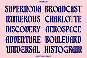 Averica Display Font, a Serif Font by Letteralle Studios (Thumbnail 6 of 12)
