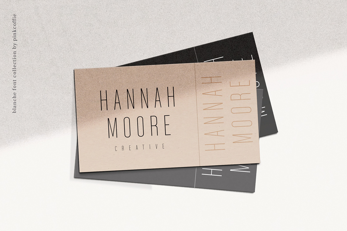 Blanche | Modern Sans Serif + Logos, a Sans Serif Font by Pink Coffie (Photo 10 of 11)
