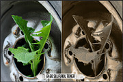 Darkroom Toners - Sepia Profiles, a Plug-in Add-On by Raztrend (Thumbnail 21 of 30)