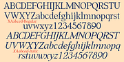 XAabced, a Serif Font by Ingrimayne Type (Thumbnail 8 of 9)
