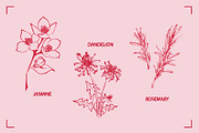 HERBAL TEA (30+ ILLUSTRATIONS), a Food Illustration by Bonfloret Studio (Thumbnail 8 of 10)