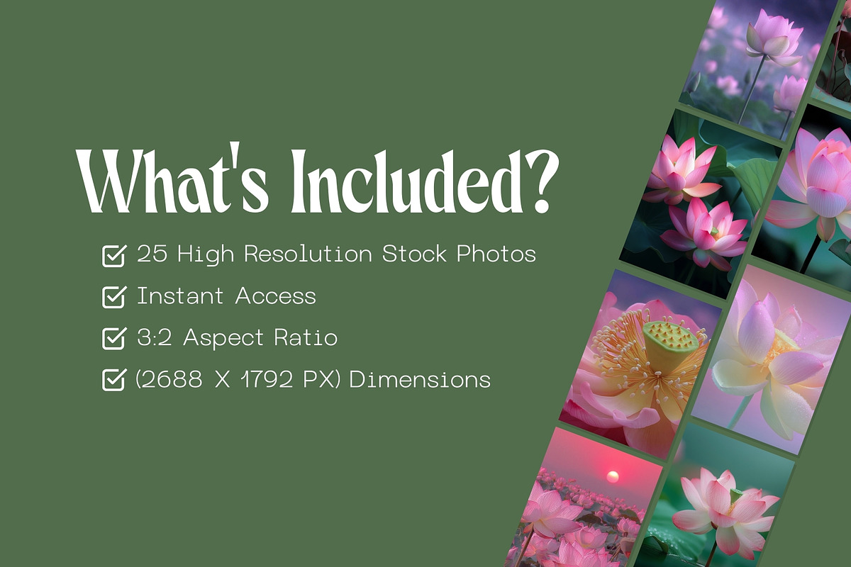 25 Vintage Lotus Flower Stock Photos, a Nature Photo by Incomelion (Photo 7 of 11)