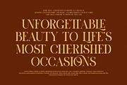 Vioner Elegant Luxury Serif Font, a Serif Font by Graphicxell (Thumbnail 4 of 8)