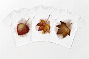 Autumn leaves set, a Decorative Illustration by AfieArt (Thumbnail 6 of 7)