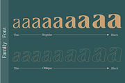 Collager | Modern Serif Family, a Serif Font by Gilar Studio (Thumbnail 2 of 11)