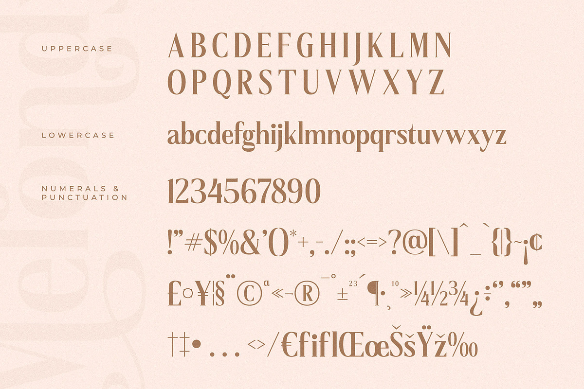 Melondy Modern Stylish Serif, a Serif Font by Storytype Studio (Photo 13 of 15)