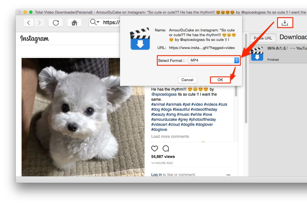 Total Video Downloader for Mac, an Action Add-On by EffectMatrix (Photo 11 of 14)