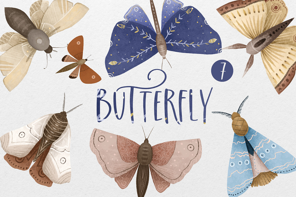 Hand-drawn Butterfly & Moon Moth, an Animal Illustration by the_myro (Photo 1 of 5)