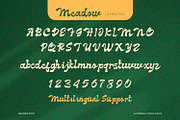 Meadow - Groove Script Font, a Script Font by Alpaprana (Thumbnail 8 of 9)