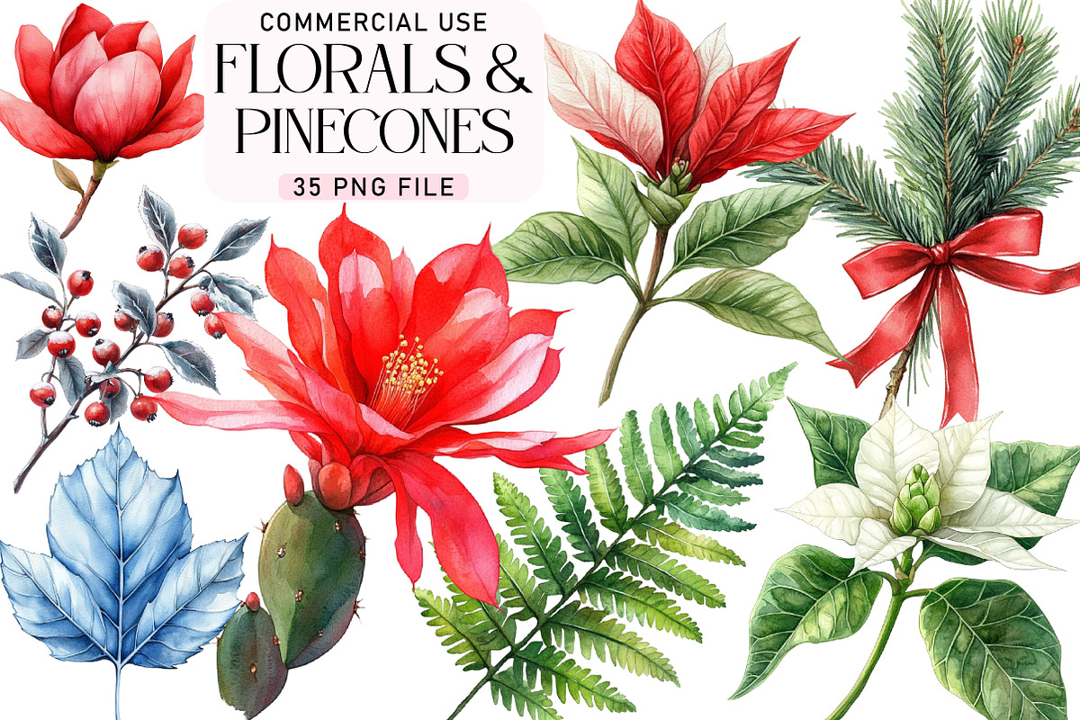 Festive Florals & Pinecones Clipart, an Illustration by Daily.Designs (Photo 1 of 5)