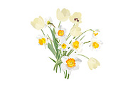 Daffodils Bouquets., an Object Graphic by Peolla (Thumbnail 4 of 9)