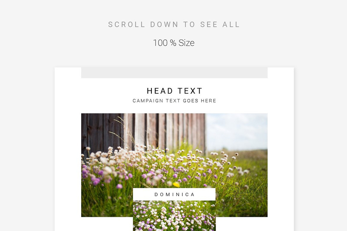 Clean E-Newsletter Bundle, an Email Template by Swiss_cube (Photo 12 of 23)