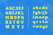 Pufetto Modern Bold Typeface Font, a Serif Font by Vadovastd (Thumbnail 2 of 8)