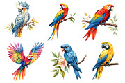 Parrots Watercolor Clipart,, an Illustration by Dream Creation (Thumbnail 5 of 7)