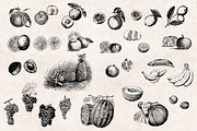 Fruits Engravings Set, an Object Graphic by Graphic Goods (Thumbnail 4 of 5)