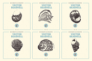 VECTOR SEASHELL HAND DRAWN BUNDLE 22, an Illustration by pawellpi (Thumbnail 9 of 10)