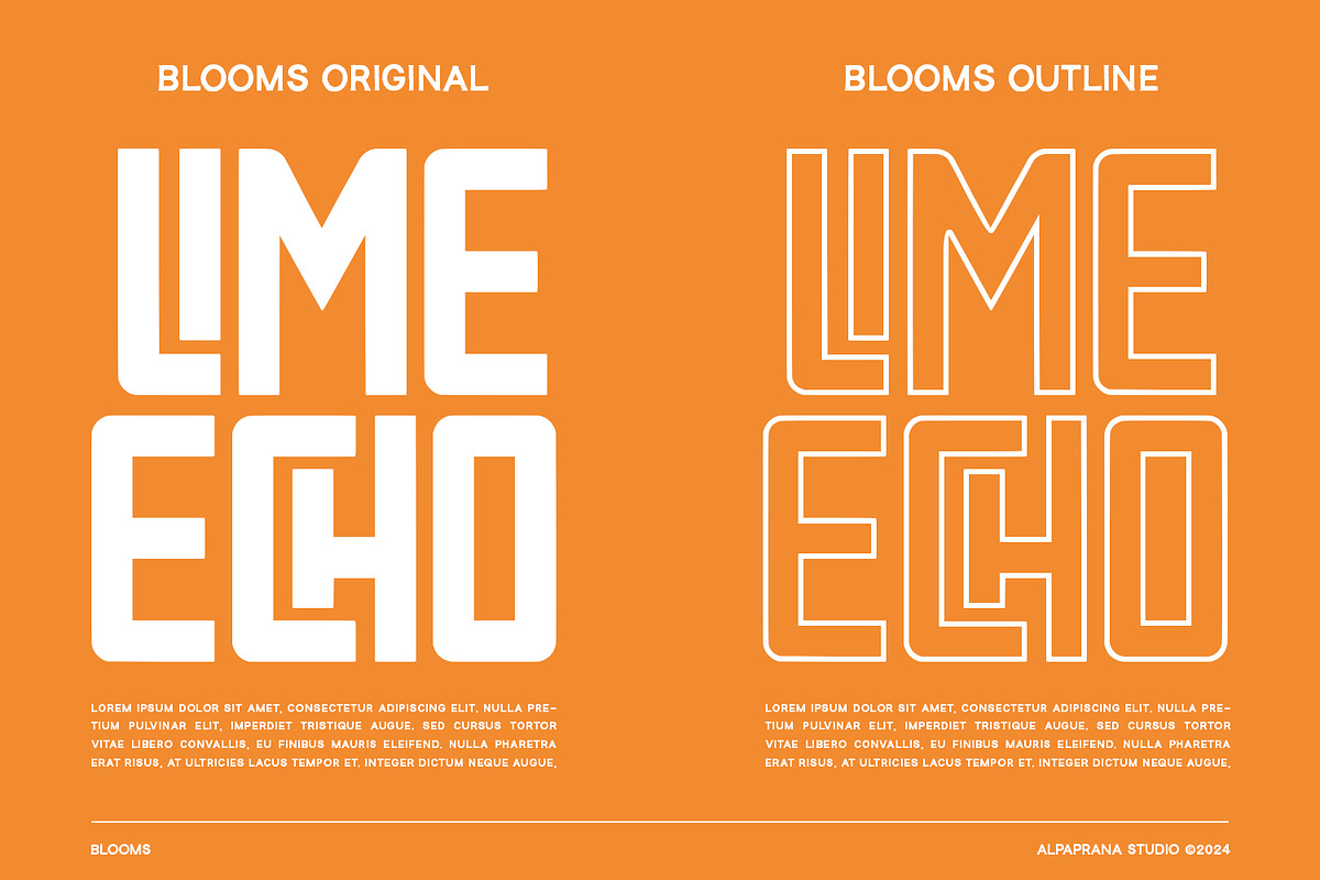 Blooms - Display Font, a Sans Serif Font by Alpaprana (Photo 2 of 11)
