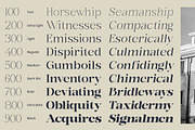 Bonarchi - Family Font, a Serif Font by Rastype (Thumbnail 6 of 10)