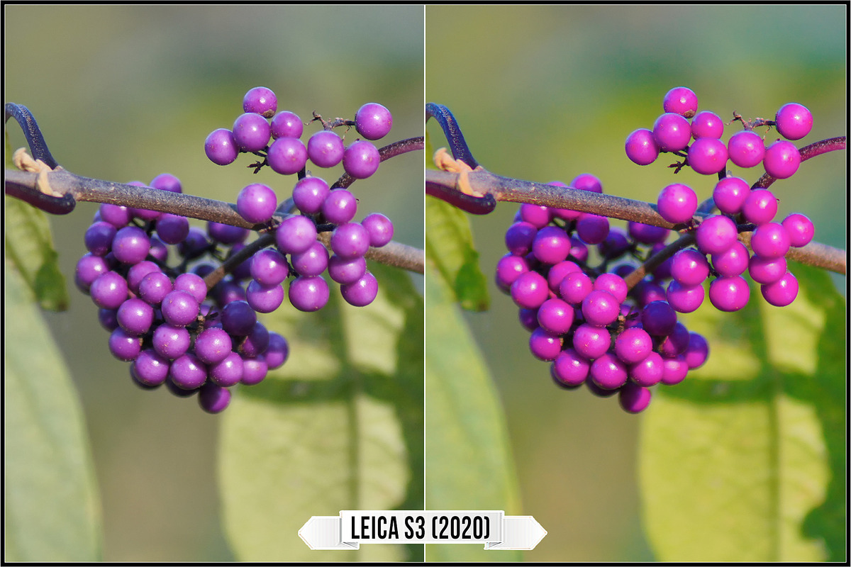 Leica Colors & Sensor Luminance, a Plug-in Add-On by Raztrend (Photo 19 of 29)