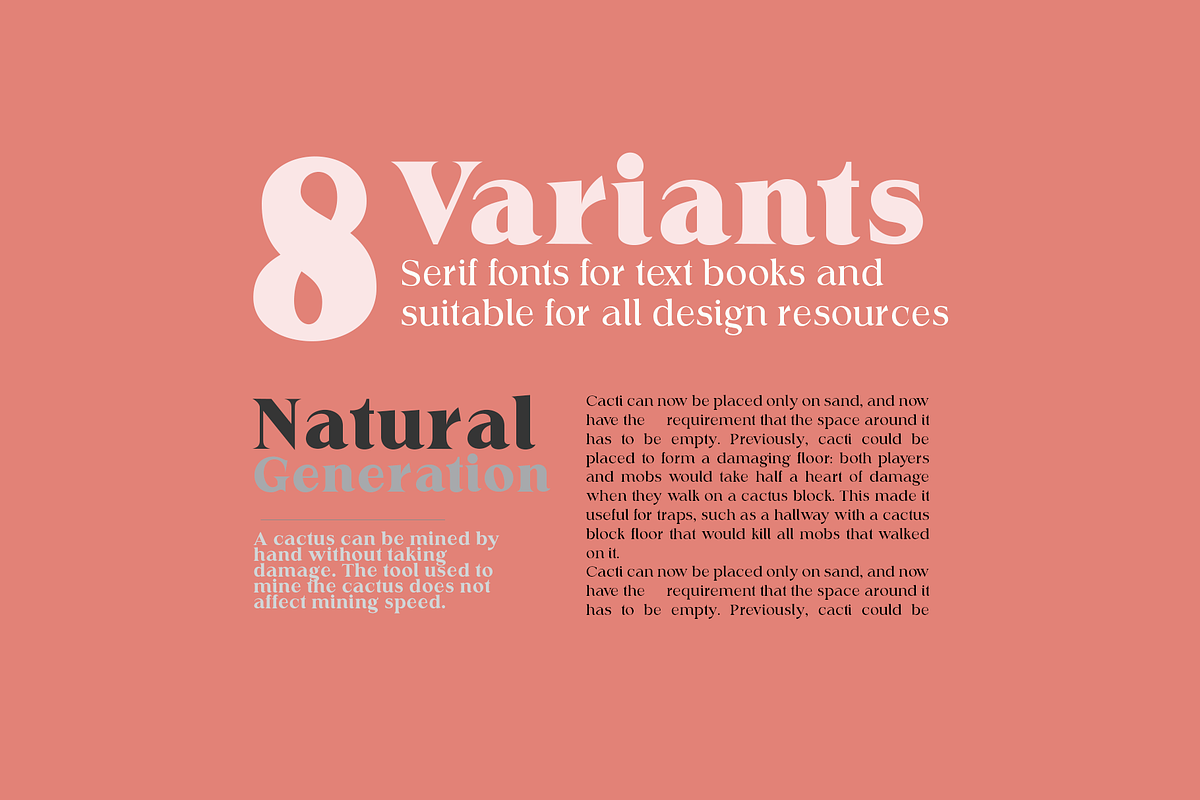 Egbert//Serif 8 varians, a Serif Font by groens (Photo 4 of 6)
