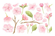 Watercolor Cherry Blossom Clipart, an Object Illustration by ArtGiftsStudio (Thumbnail 4 of 5)