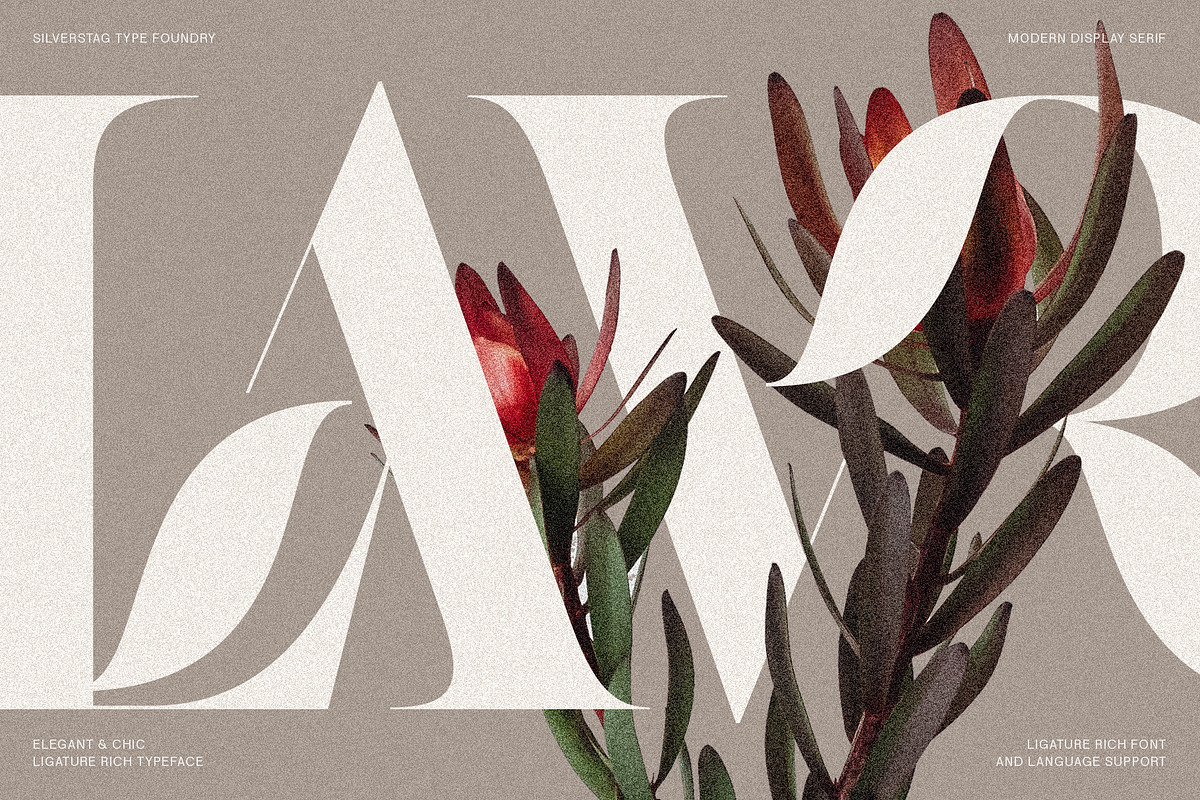 Raving Display Editorial Serif Font, a Serif Font by SilverStag Type Foundry (Photo 3 of 30)