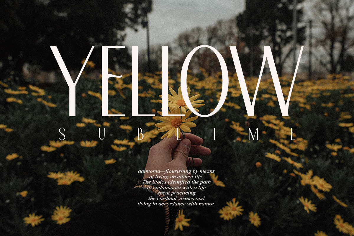 Allerick | Modern Classic, a Sans Serif Font by Muntab_Art (Photo 5 of 9)