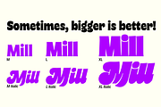 Freitag - 16 fonts, a Serif Font by Zetafonts (Thumbnail 7 of 10)
