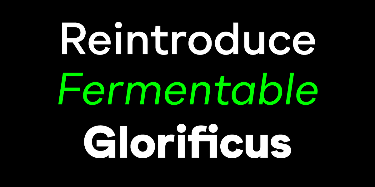 Gramatika, a Sans Serif Font by Tokotype (Photo 2 of 7)